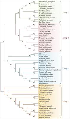 Structure, Function, and Regulation of the Plasma Membrane Na+/H+ Antiporter Salt Overly Sensitive 1 in Plants